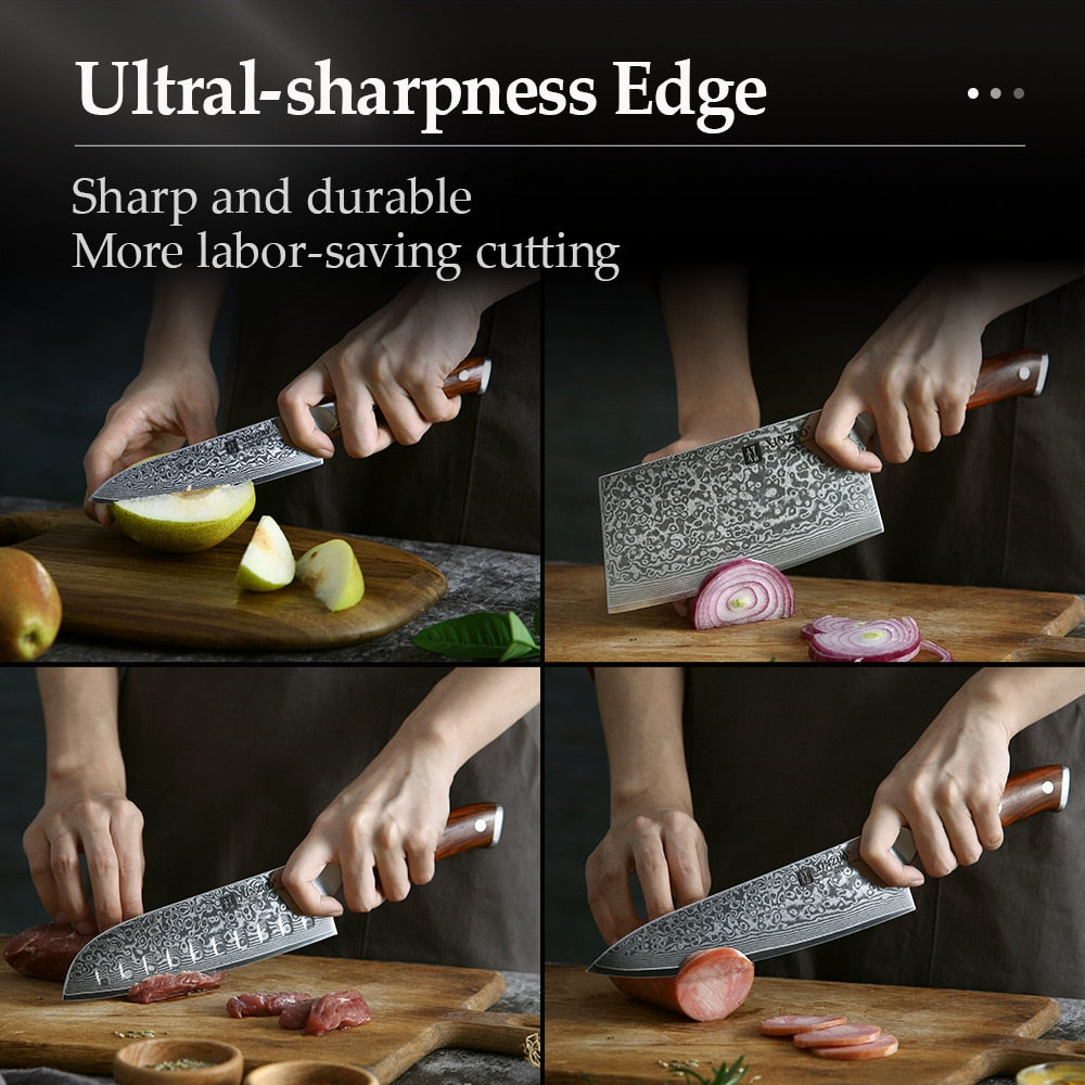 XINZUO 4-Piece Damascus Steel Kitchen Knife Set - 67 Layers VG10 Core Chef, Santoku, Utility & Cleaver Knives with Ergonomic Wood Handle