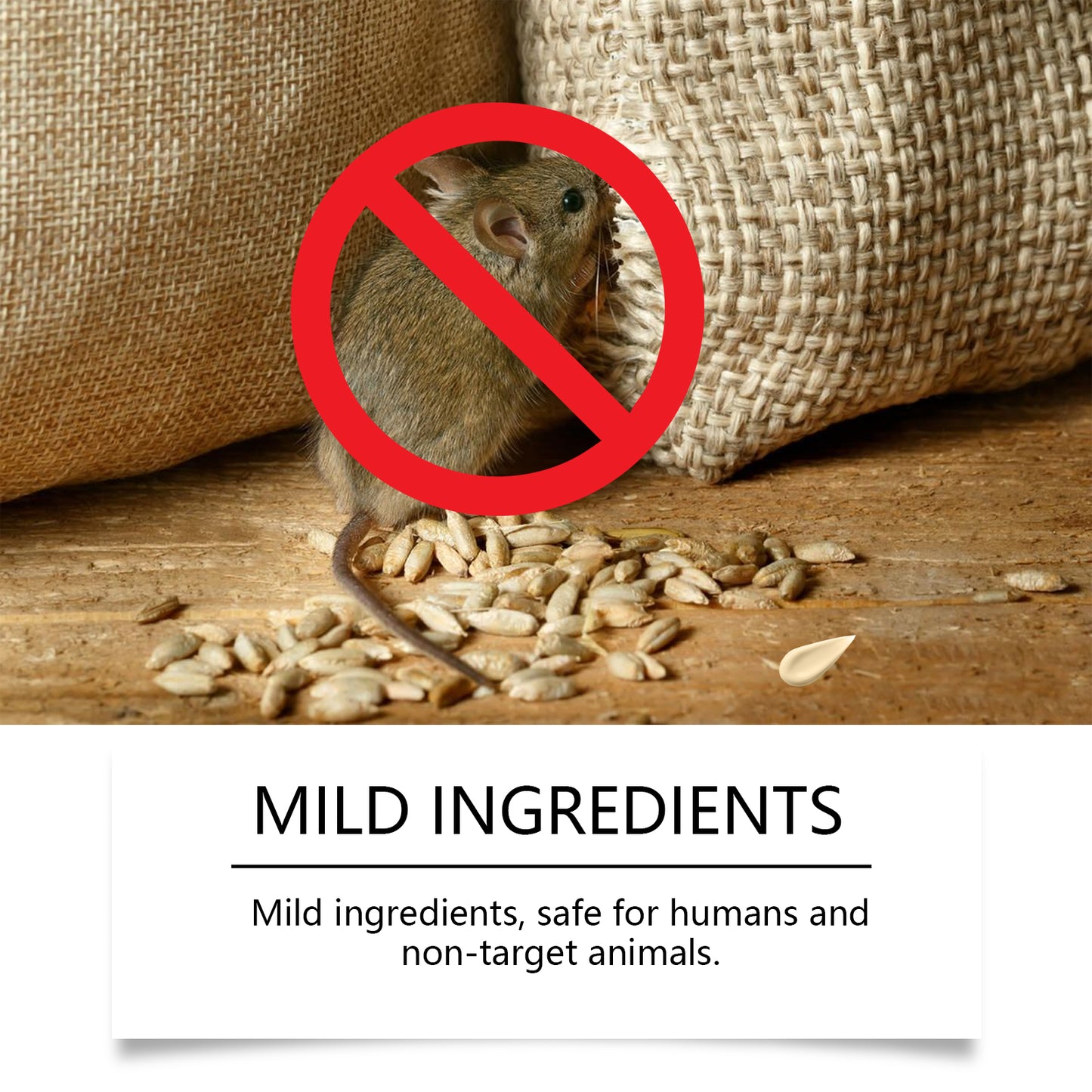 Plant-Based Mint Rodent Repellent Spray for Indoor, Outdoor & Car Engine Protection