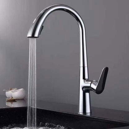 Polished Gold 304 Stainless Steel Kitchen Faucet with Pull-Down Sprayer