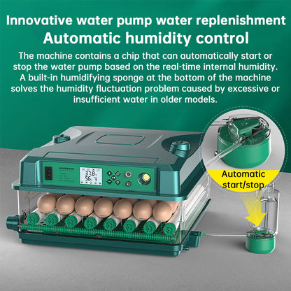 1: 24/36 Egg Incubator Fully Automatic | Auto Turner & Temp Control Poultry