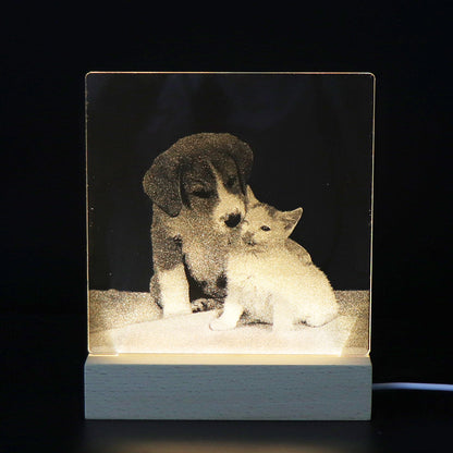 Internal Carving Acrylic LED Night Light - Plug-in Bedhead Desk Lamp