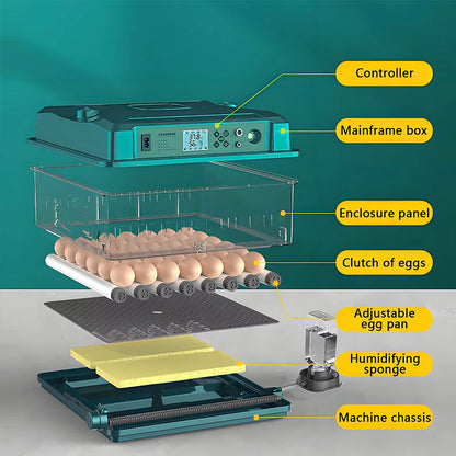 1: 24/36 Egg Incubator Fully Automatic | Auto Turner & Temp Control Poultry