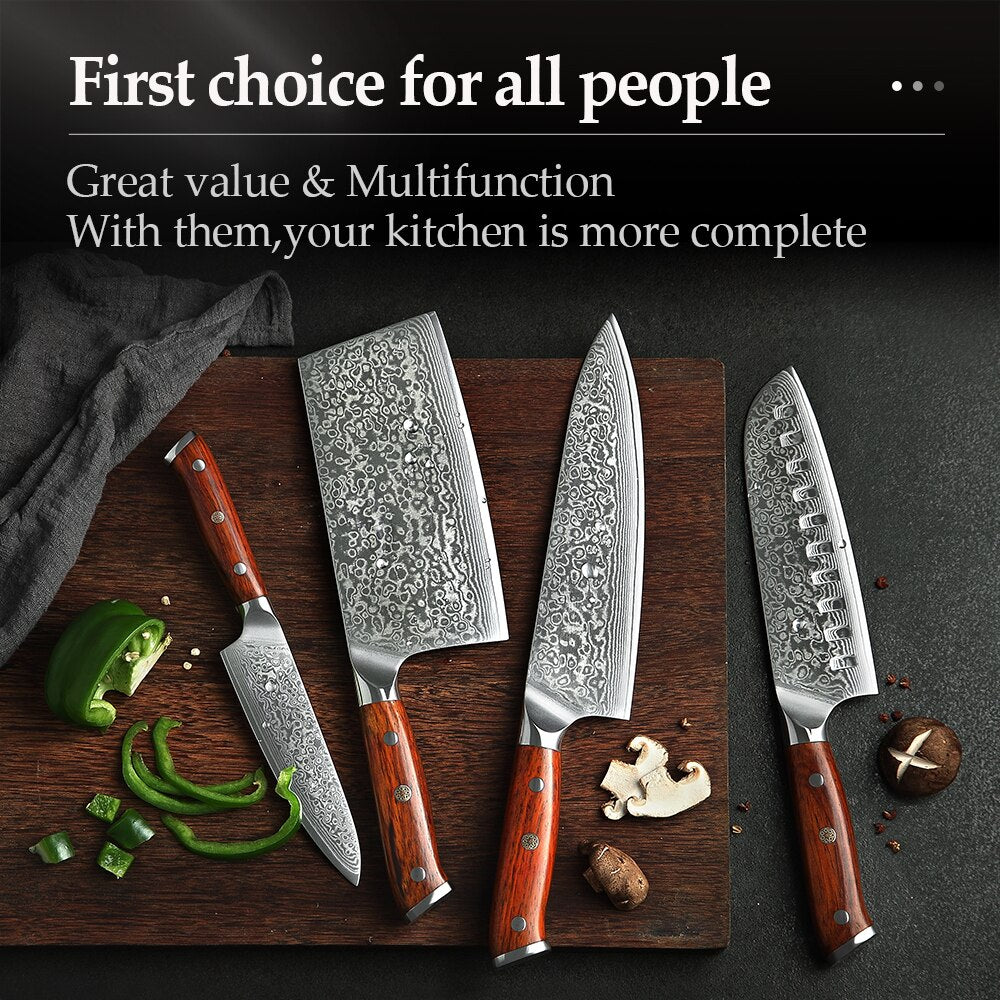 XINZUO 4-Piece Damascus Steel Kitchen Knife Set - 67 Layers VG10 Core Chef, Santoku, Utility & Cleaver Knives with Ergonomic Wood Handle
