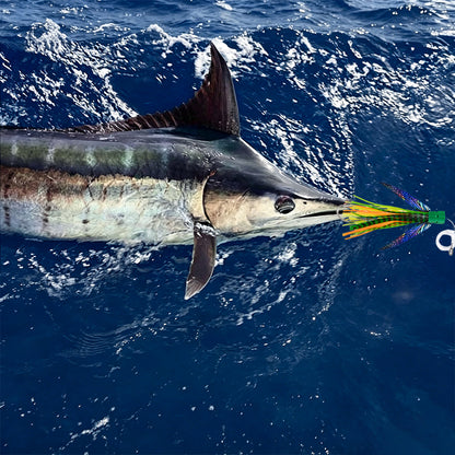 Deep Sea Boat Trolling Jig for Tuna & Pelagic Species (TR012-C5)