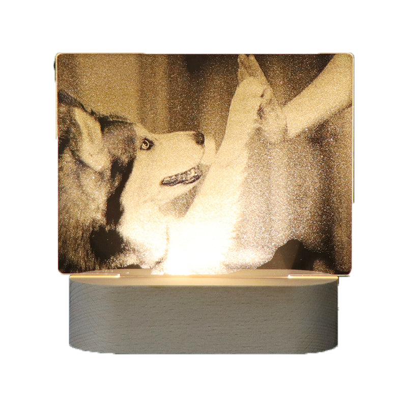 Internal Carving Acrylic LED Night Light - Plug-in Bedhead Desk Lamp