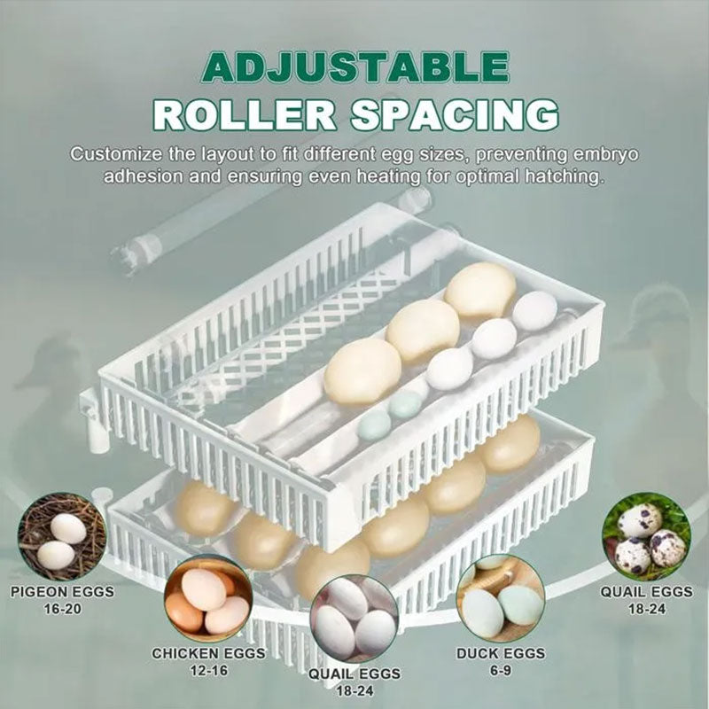 24 Egg Incubator with Automatic Turner | Digital Touch Control Hatchery Machine