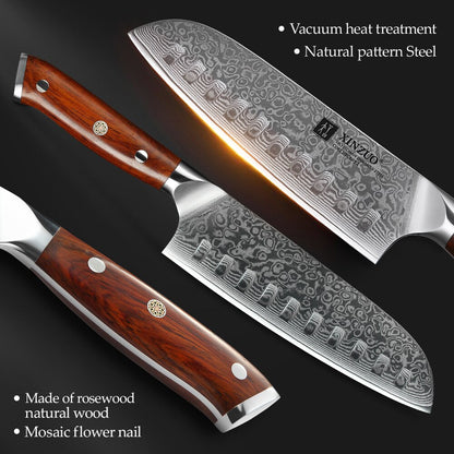 XINZUO 4-Piece Damascus Steel Kitchen Knife Set - 67 Layers VG10 Core Chef, Santoku, Utility & Cleaver Knives with Ergonomic Wood Handle