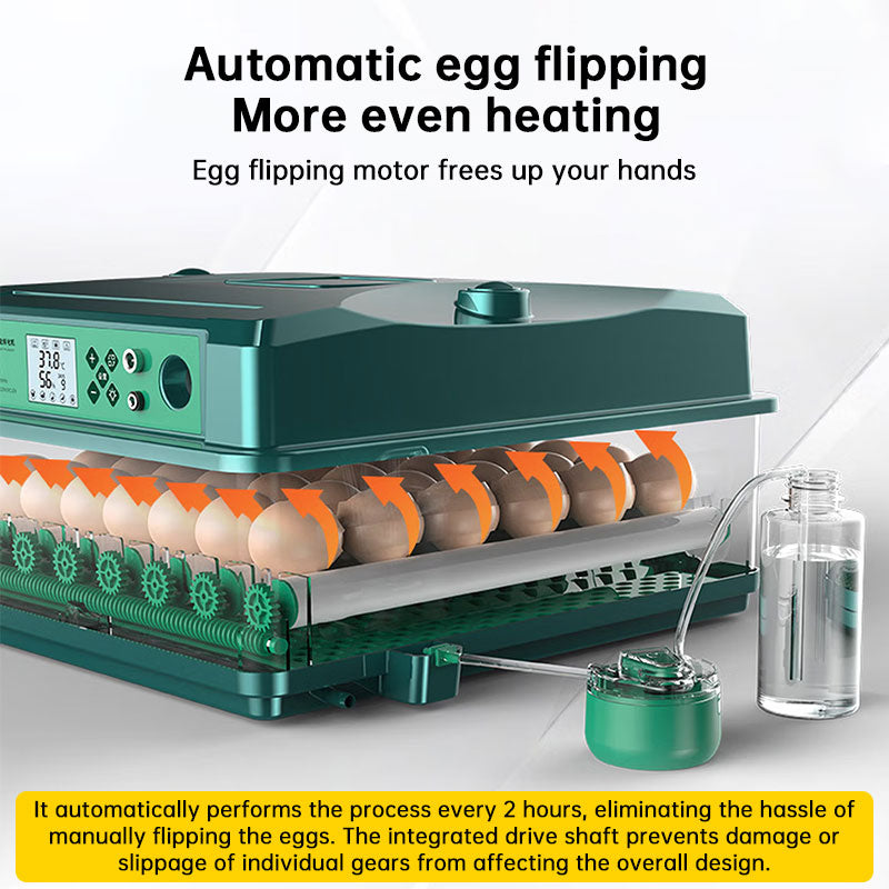 1: 24/36 Egg Incubator Fully Automatic | Auto Turner & Temp Control Poultry