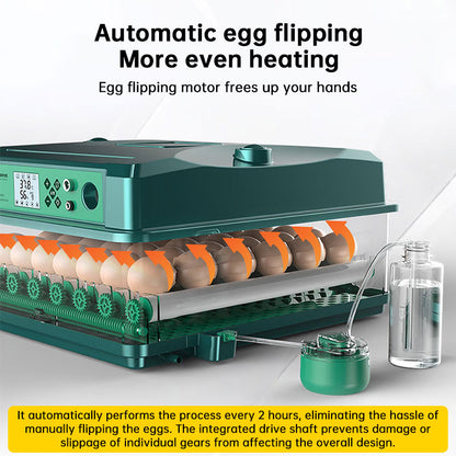 1: 24/36 Egg Incubator Fully Automatic | Auto Turner & Temp Control Poultry