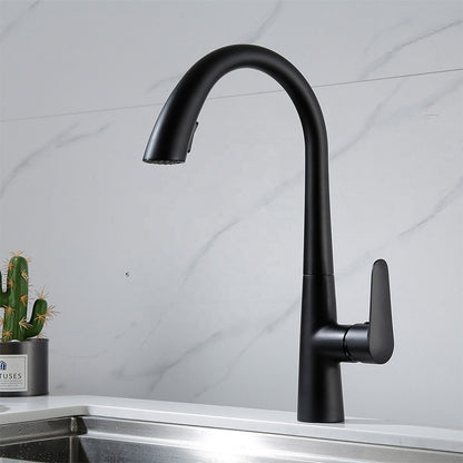 Polished Gold 304 Stainless Steel Kitchen Faucet with Pull-Down Sprayer
