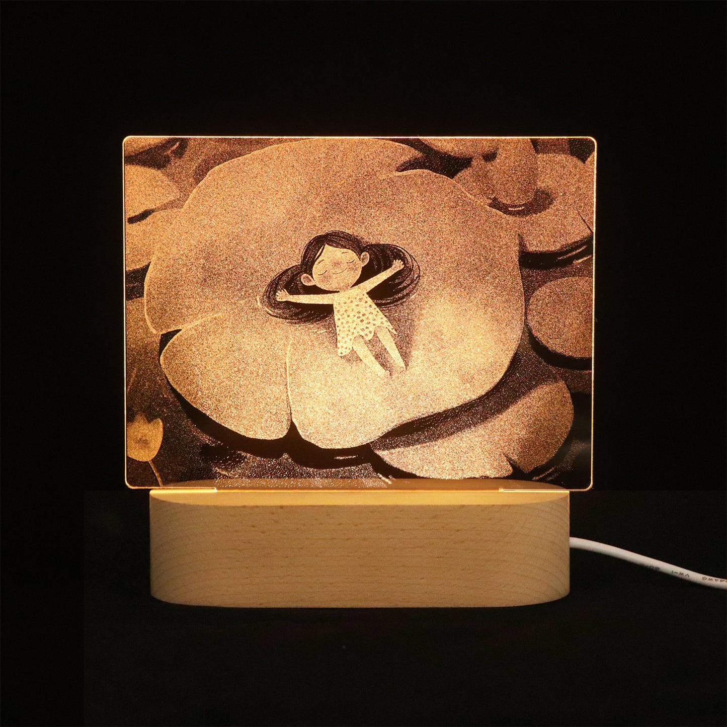 Internal Carving Acrylic LED Night Light - Plug-in Bedhead Desk Lamp