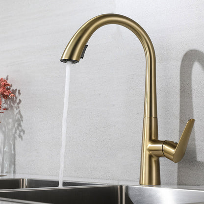 Polished Gold 304 Stainless Steel Kitchen Faucet with Pull-Down Sprayer