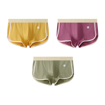 Women's Ribbed Cotton Mid-Waist Safety Shorts / Boxer Underwear