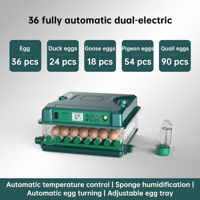 1: 24/36 Egg Incubator Fully Automatic | Auto Turner & Temp Control Poultry